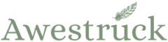 Awestruck Logo