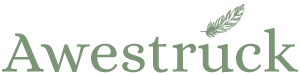 Awestruck Logo